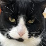 lilymayyy123's profile picture