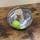 item listed by karlied2