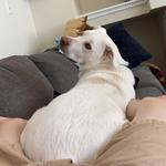 kaiser_131a's profile picture