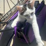 ilov3j4c3lyn's profile picture