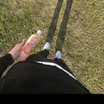 petethriftz's profile picture