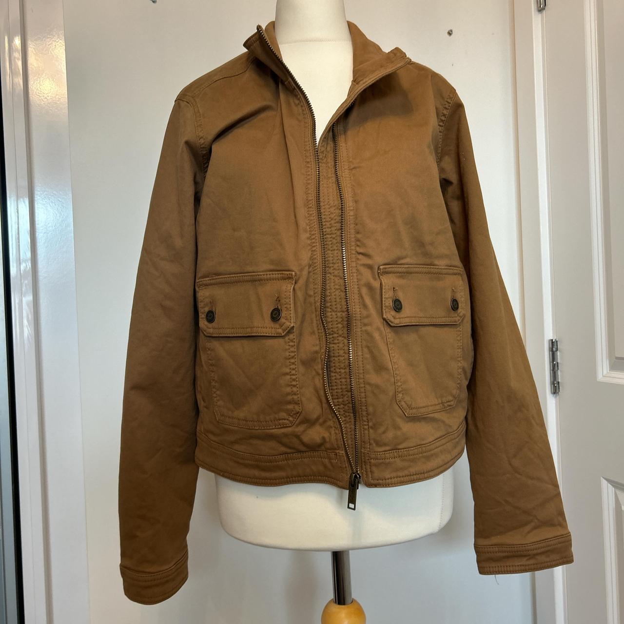 Hollister brown jacket online