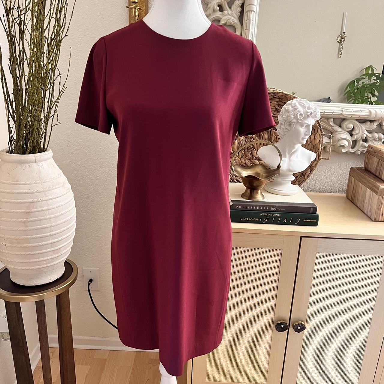 Aritzia patricio dress best sale