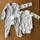 item listed by pincushion_protea
