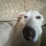 cmatty's profile picture