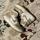 item listed by alexs_top_finds