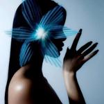 lotuspider's profile picture