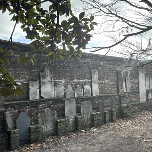 haveyoudiedbefore sold out fur “bat”pack with | Depop