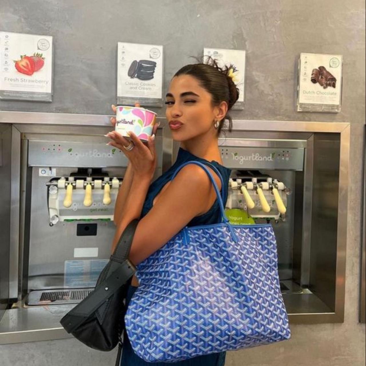 Goyard Blue Bag Blue Goyard Bag Goyard Blue PM Tote