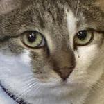 keeprweakr's profile picture
