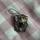 item listed by dangomatcha7