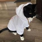 slade63's profile picture