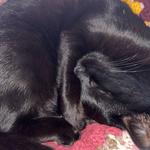 micamoo19's profile picture