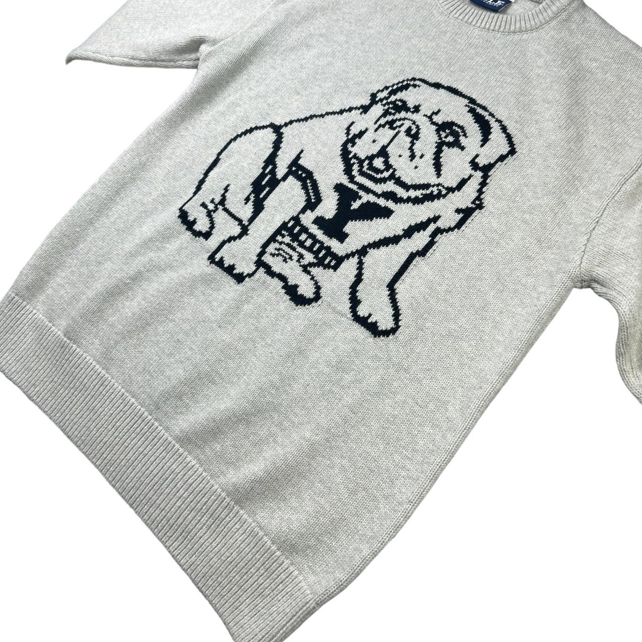 bulldog sweater zara