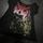 item listed by unwind_n_find