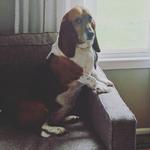 daisy_girl_'s profile picture