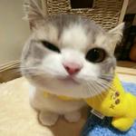 luuvvv1's profile picture