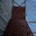 item listed by madelynjosina
