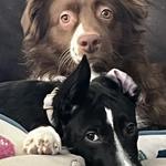 bookerbear's profile picture