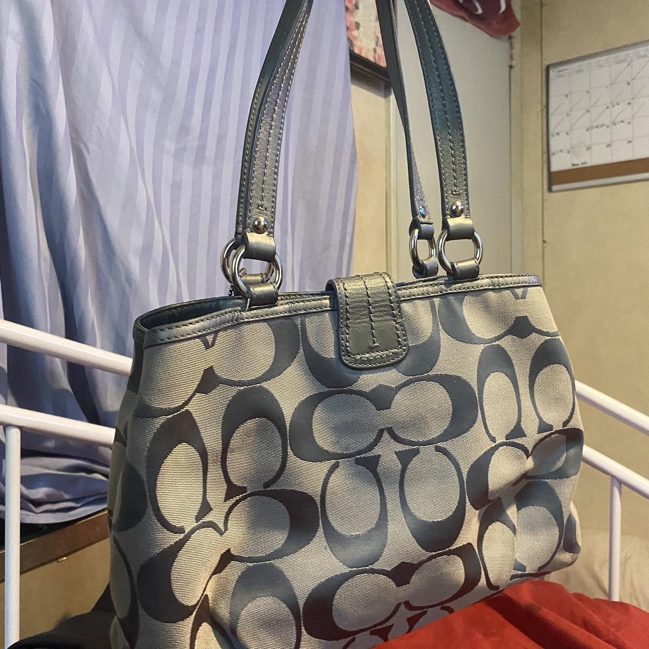 Purchases Silver Grey Coach Purse