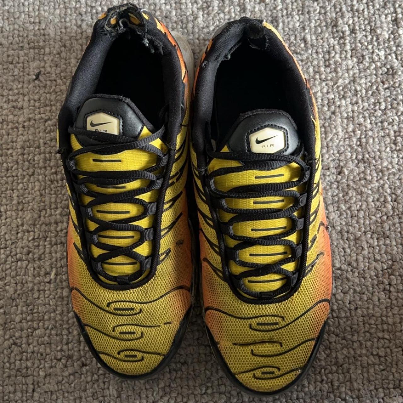 tns tiger