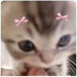 kareenakumbhar12's profile picture
