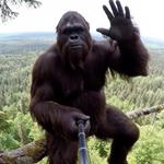 typeshittobe's profile picture