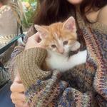 anjali_671819's profile picture