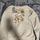 item listed by gracethrifts1
