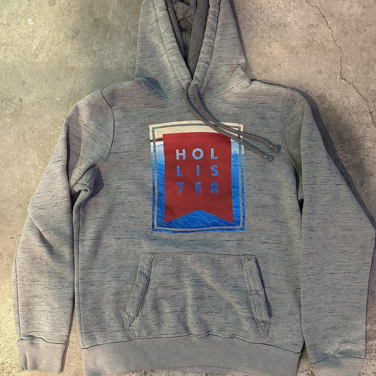 Cheap hollister hoodie best sale