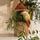 item listed by full_of_life_vintage