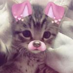 shootingst4ars's profile picture