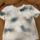 item listed by alliezzz