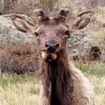 naystreasures's profile picture