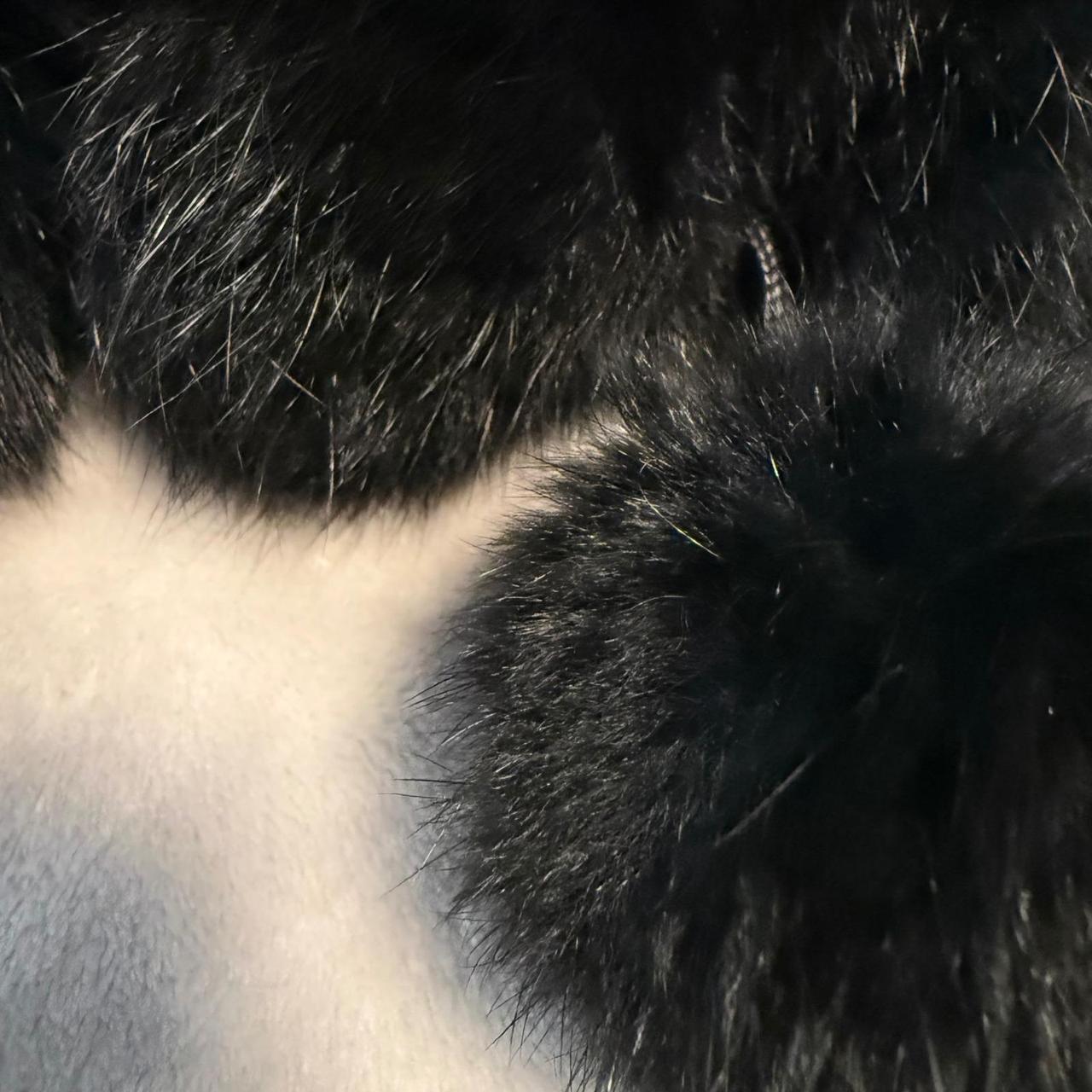 Source Unknown Women's Scarf - Black – Real Mink … - image 5