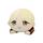 item listed by c_rane