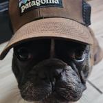 gavns's profile picture