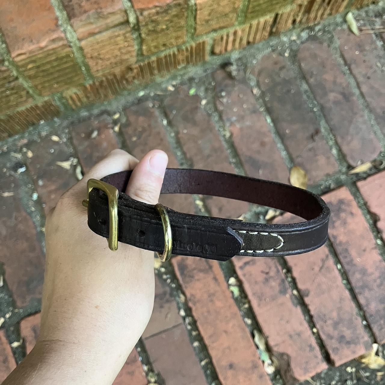 Circle T leather dog collar, would most likely fit a... Depop