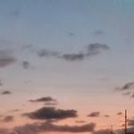 cadence_ms's profile picture