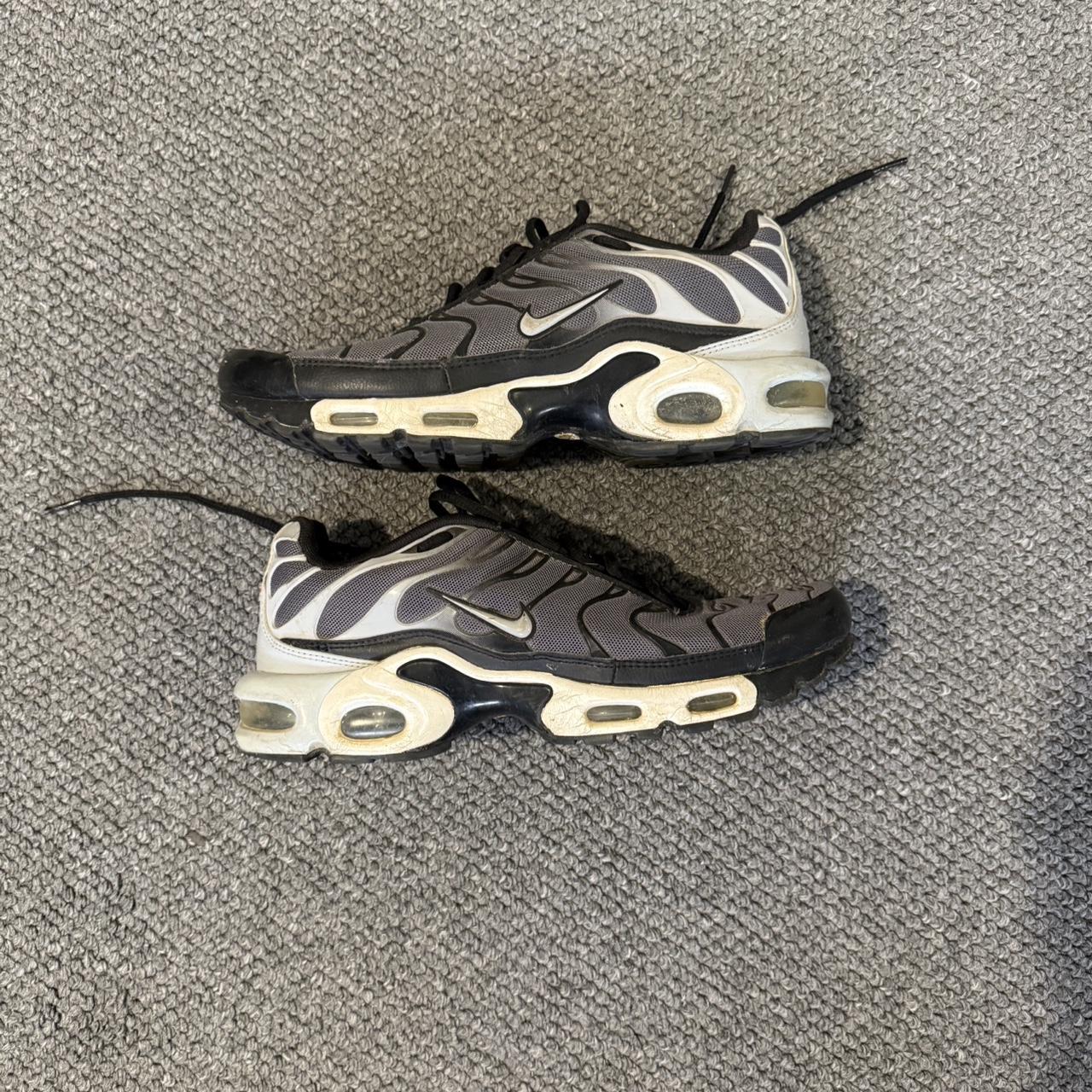 tailwind tns