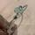 item listed by jewelryclotheshut