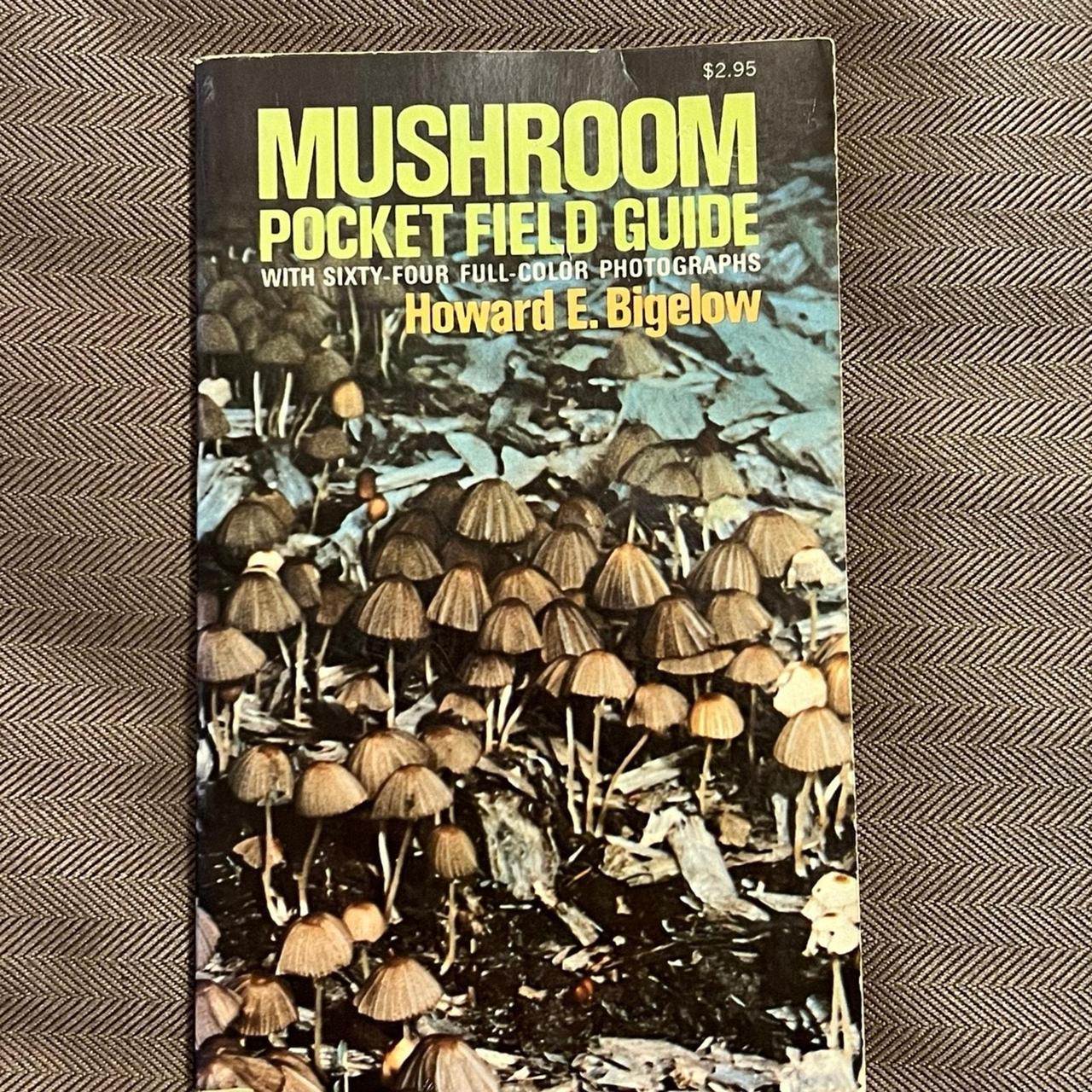 item listed by jlooney2