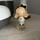 item listed by jeannine1971