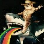 nickpalmer19's profile picture