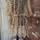 item listed by mycousinscloset97