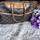 item listed by florie10