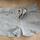 item listed by electraclothing