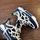 item listed by ckgarms_