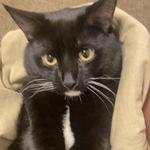 bokiiiiii's profile picture