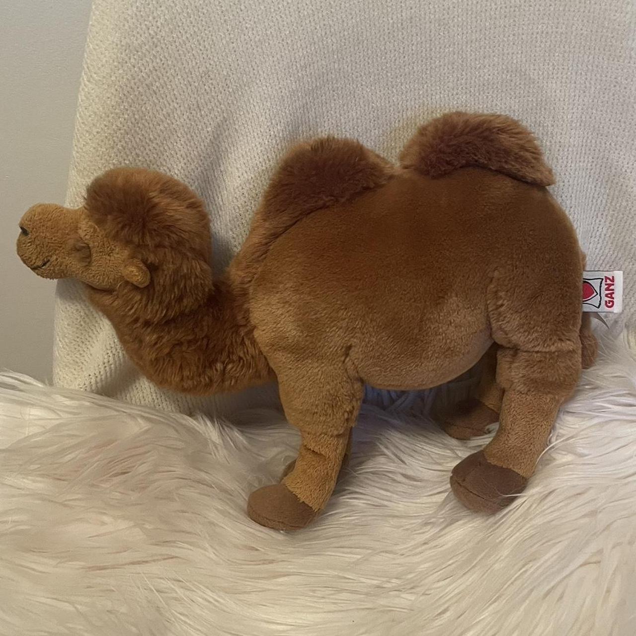 Webkinz best sale signature camel